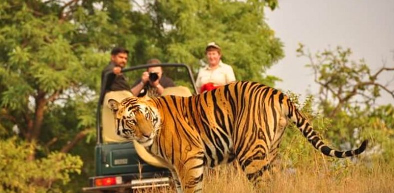 Rajaji National Park