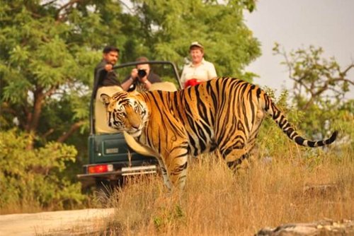 Rajaji Tour Package